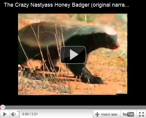 funny honey badger pictures. Nastyass Honey Badger
